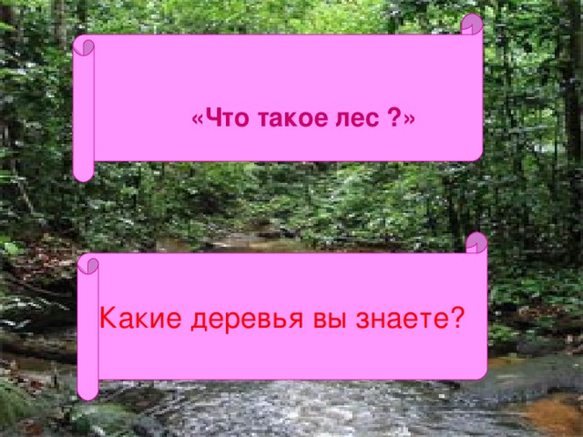 «Что такое лес ?»    Какие деревья вы знаете?