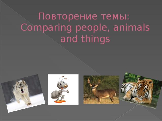 Повторение темы:  Comparing people, animals and things