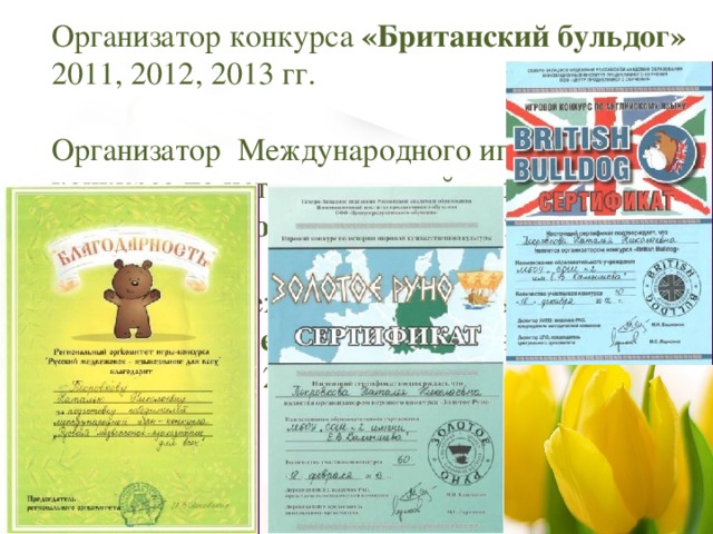 Организатор конкурса «Британский бульдог» 2011, 2012, 2013 гг. Организатор Международного игрового конкурса по истории мировой художественной культуры «Золотое Руно» 2011, 2012, 2013 гг. Организатор международной игры – конкурса «Русский медвежонок – языкознание для всех» 2011, 2012, 2013 гг.