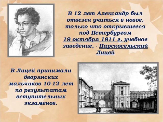 В 12 лет Александр был отвезен учиться в новое, только что открывшееся под Петербургом 19 октября 1811 г. учебное заведение, - Царскосельский Лицей В Лицей принимали дворянских мальчиков 10-12 лет по результатам вступительных экзаменов.