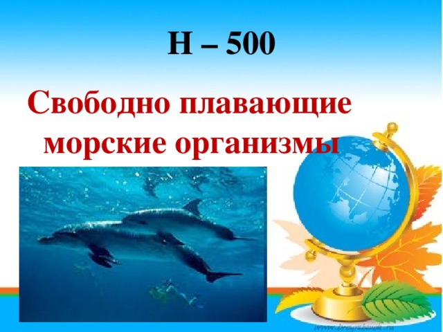 Н – 500 Свободно плавающие морские организмы