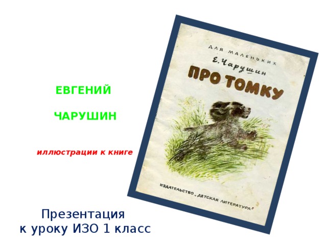 ЕВГЕНИЙ   ЧАРУШИН    иллюстрации к книге Презентация к уроку ИЗО 1 класс