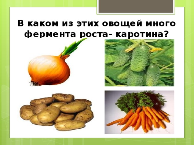 Фермент роста человека. В каком из овощей много фермента роста-каротина. В каких овощах большое количество каротина. В каких овощах много воды. Овощи много белка.