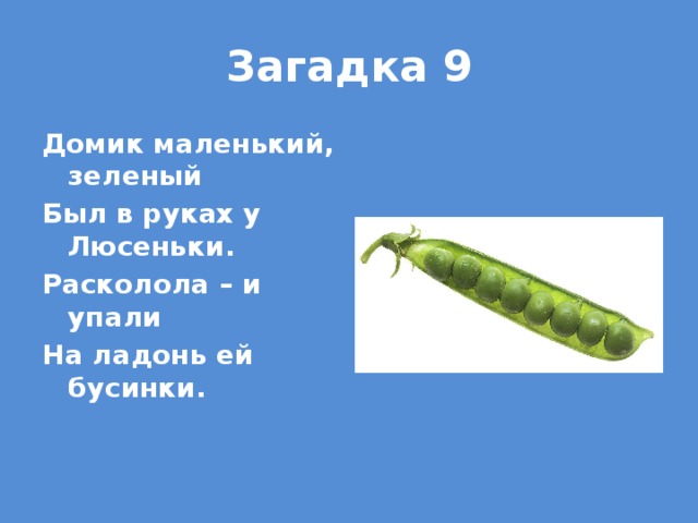 Загадка 9 Домик маленький, зеленый Был в руках у Люсеньки. Расколола – и упали На ладонь ей бусинки.