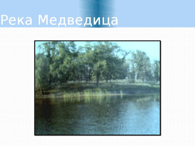 Река Медведица