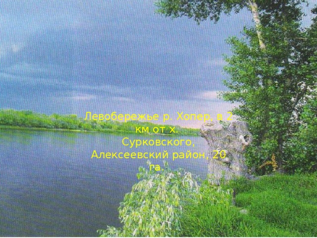 Озеро Култук Левобережье р. Хопер, в 2 км от х. Сурковского, Алексеевский район, 20 га. Левобережье р. Хопер, в 2 км от х. Сурковского, Алексеевский район, 20 га.