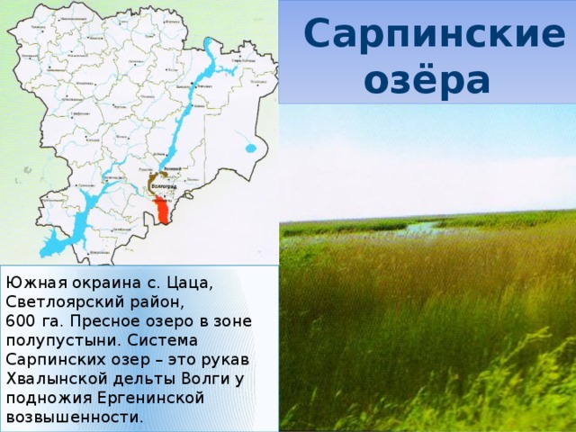 Сарпинские озёра Южная окраина с. Цаца, Светлоярский район, 600 га. Пресное озеро в зоне полупустыни. Система Сарпинских озер – это рукав Хвалынской дельты Волги у подножия Ергенинской возвышенности.