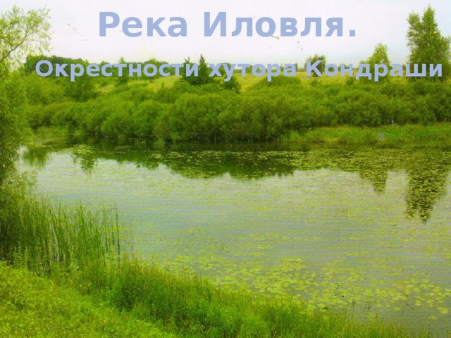 Река Иловля.  Окрестности хутора Кондраши