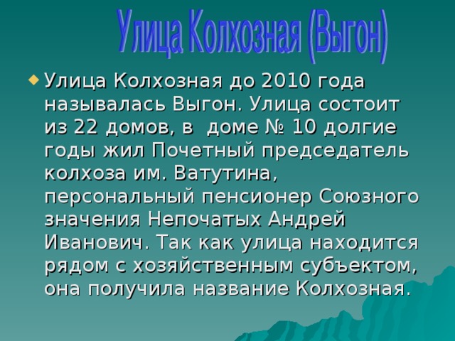 Улица Колхозная до 2010 года называлась Выгон. Улица состоит из 22 домов, в доме № 10 долгие годы жил Почетный председатель колхоза им. Ватутина, персональный пенсионер Союзного значения Непочатых Андрей Иванович. Так как улица находится рядом с хозяйственным субъектом, она получила название Колхозная.