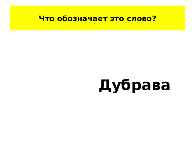 Что обозначает это слово?  Дубрава