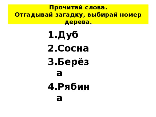 Прочитай слова.  Отгадывай загадку, выбирай номер дерева. Дуб Сосна Берёза Рябина