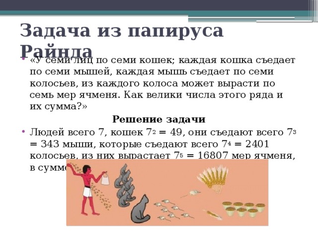 Задача из папируса Райнда «У семи лиц по семи кошек; каждая кошка съедает по семи мышей, каждая мышь съедает по семи колосьев, из каждого колоса может вырасти по семь мер ячменя. Как велики числа этого ряда и их сумма?» Решение задачи Людей всего 7, кошек 7 2 = 49, они съедают всего 7 3 = 343 мыши, которые съедают всего 7 4 = 2401 колосьев, из них вырастает 7 5 = 16807 мер ячменя, в сумме эти числа дают 19 607.