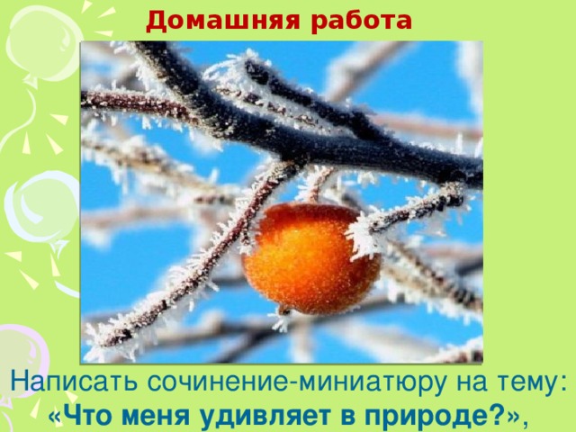 Домашняя работа  Написать сочинение-миниатюру на тему: «Что меня удивляет в природе?» ,