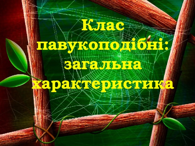 Клас павукоподібні: загальна характеристика