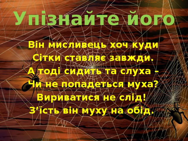 Упізнайте його Він мисливець хоч куди Сітки ставляє завжди. А тоді сидить та слуха – Чи не попадеться муха? Вириватися не слід! З’їсть він муху на обід.