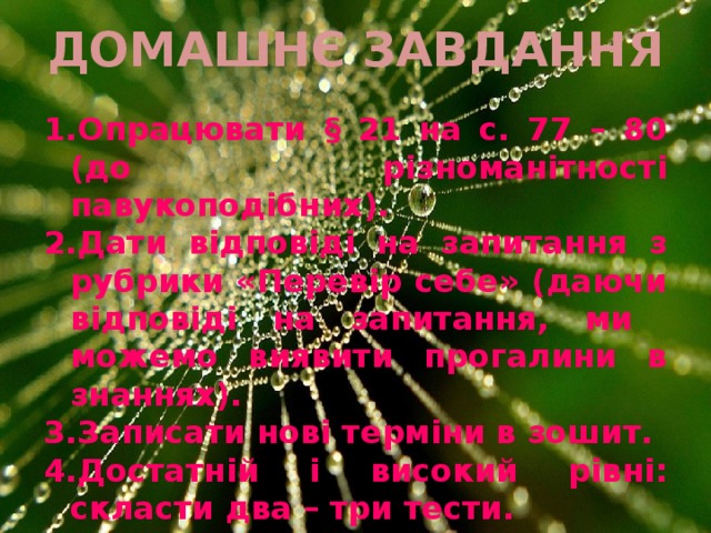 ДОМАШНЄ ЗАВДАННЯ