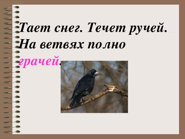 Тает снег. Течет ручей. На ветвях полно грачей .