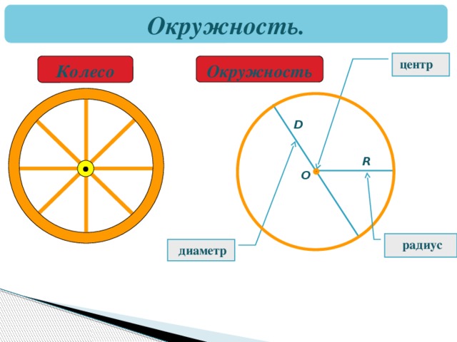 Окружность.  центр Колесо Окружность D  R O  радиус  диаметр