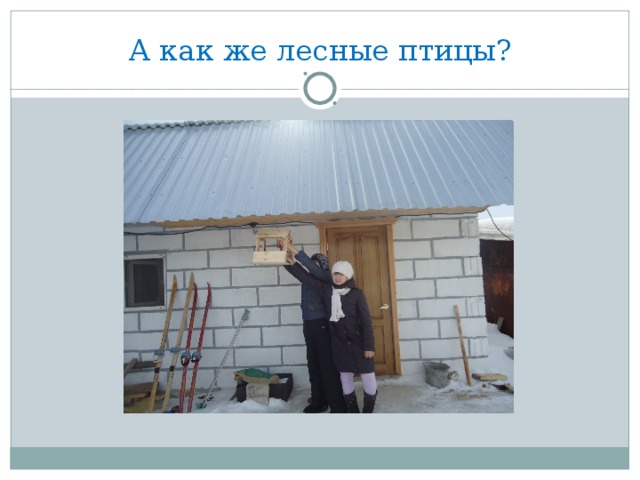 А как же лесные птицы?