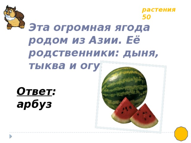 растения 50 Эта огромная ягода родом из Азии. Её родственники: дыня, тыква и огурец. Ответ : арбуз