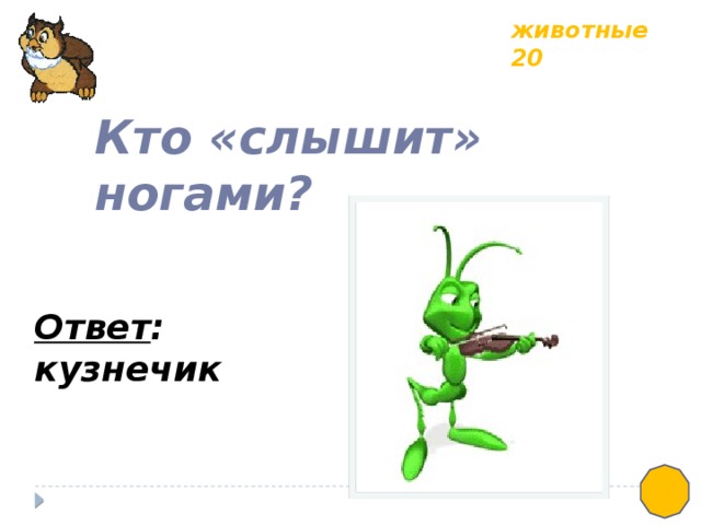 животные 20 Кто «слышит» ногами? Ответ : кузнечик