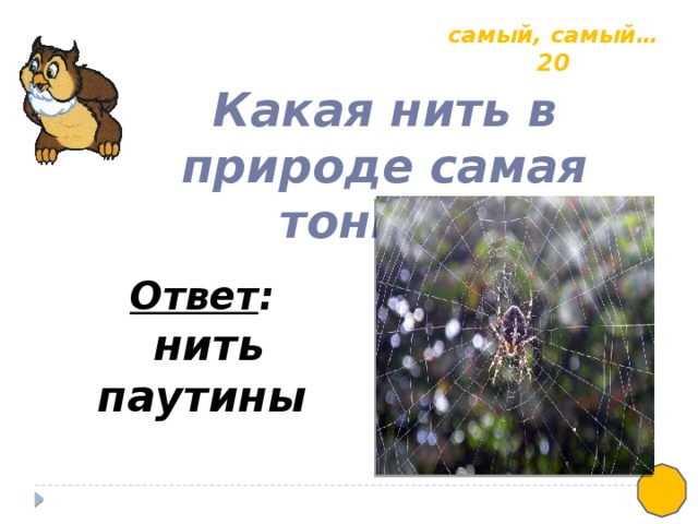 самый, самый… 20 Какая нить в природе самая тонкая? Ответ :  нить паутины