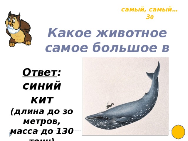 самый, самый… 3 0 Какое животное самое большое в мире? Ответ : синий кит (длина до зо метров, масса до 130 тонн)