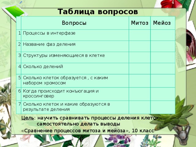 Таблица вопросов Вопросы 1 Митоз Процессы в интерфазе 2 Мейоз Название фаз деления 3 4 Структуры изменяющиеся в клетке Сколько делений 5 Сколько клеток образуется , с каким набором хромосом 6 Когда происходит конъюгация и кроссинговер 7 Сколько клеток и какие образуются в результате деления Цель : научить сравнивать процессы деления клеток,  самостоятельно делать выводы «Сравнение процессов митоза и мейоза», 10 класс