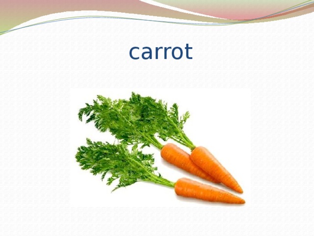 carrot