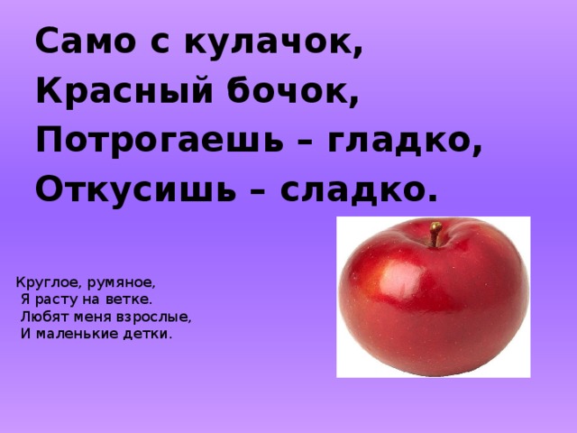 Само с кулачок, Красный бочок, Потрогаешь – гладко, Откусишь – сладко. Круглое, румяное,  Я расту на ветке.  Любят меня взрослые,  И маленькие детки.