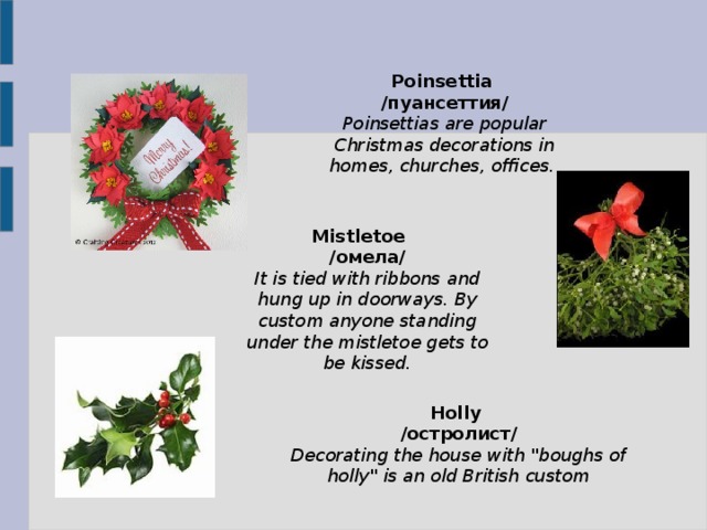 Poinsettia /пуансеттия/ Poinsettias are popular Christmas decorations in homes, churches, offices. Mistletoe /омела/ It is tied with ribbons and hung up in doorways. By custom anyone standing under the mistletoe gets to be kissed. Holly /остролист/ Decorating the house with 
