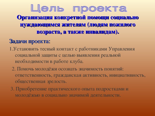 Организация конкретной помощи социально нуждающимся жителям (людям пожилого возраста, а также инвалидам). Задачи проекта: 1.Установить тесный контакт с работниками Управления социальной защиты с целью выявления реальной необходимости в работе клуба.  2. Помочь молодёжи осознать значимость понятий: ответственность, гражданская активность, инициативность, общественная зрелость.  3. Приобретение практического опыта подростками и молодёжью в социально значимой деятельности.