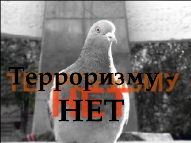 Терроризму - НЕТ