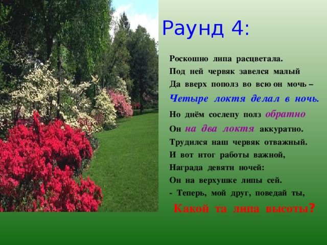 Раунд 4: Роскошно липа расцветала. Под ней червяк завелся малый Да вверх пополз во всю он мочь – Четыре локтя делал в ночь. Но днём сослепу полз обратно Он на два локтя аккуратно. Трудился наш червяк отважный. И вот итог работы важной, Награда девяти ночей: Он на верхушке липы сей. - Теперь, мой друг, поведай ты,  Какой та липа высоты ?