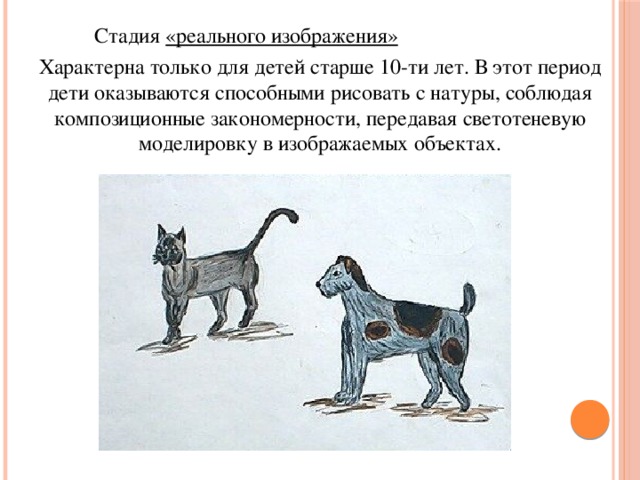 Стадия «реального изображения»  Характерна только для детей старше 10-ти лет. В этот период дети оказываются способными рисовать с натуры, соблюдая композиционные закономерности, передавая светотеневую моделировку в изображаемых объектах.