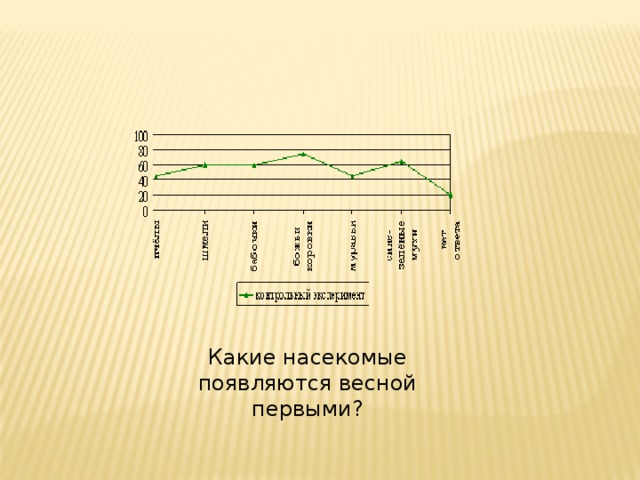 Какие насекомые появляются весной первыми?