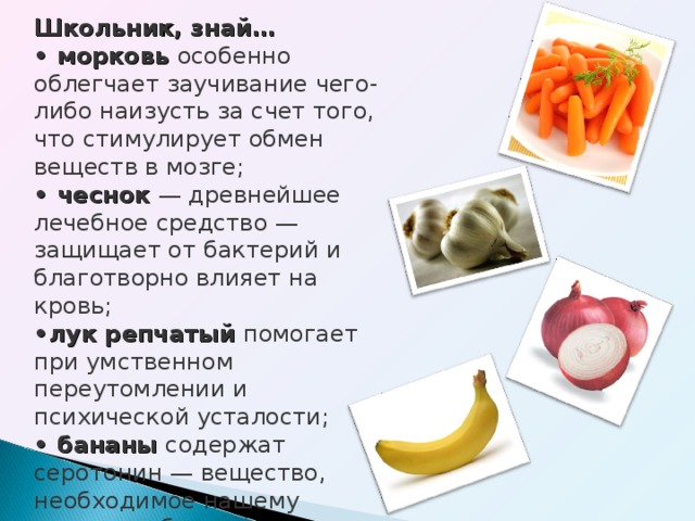 Школьник, знай… • морковь особенно облегчает заучивание чего-либо наизусть за счет того, что стимулирует обмен веществ в мозге; • чеснок — древнейшее лечебное средство — защищает от бактерий и благотворно влияет на кровь; • лук репчатый помогает при умственном переутомлении и психической усталости; • бананы содержат серотонин — вещество, необходимое нашему мозгу, чтобы тот просигнализировал: «вы счастливы»;