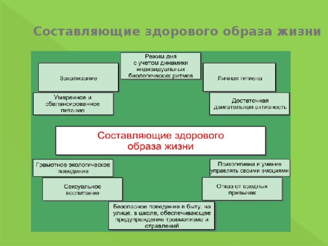 Составляющие здорового образа жизни