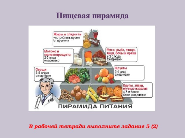 Пищевая пирамида В рабочей тетради выполните задание 5 (2)