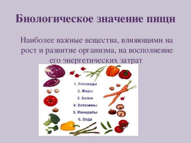 Биологическое значение пищи  Наиболее важные вещества, влияющими на рост и развитие организма, на восполнение его энергетических затрат