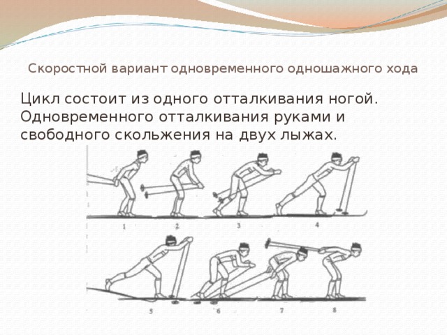 Скоростной вариант одновременного одношажного хода   Цикл состоит из одного отталкивания ногой. Одновременного отталкивания руками и свободного скольжения на двух лыжах.
