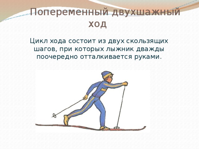 Попеременный двухшажный ход  Цикл хода состоит из двух скользящих шагов, при которых лыжник дважды поочередно отталкивается руками.