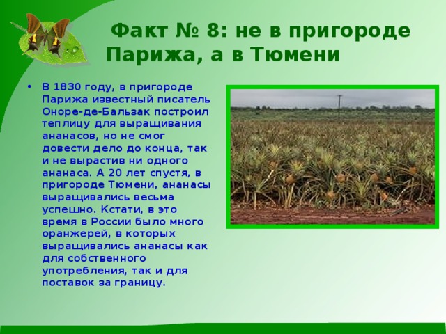 Факт № 8: не в пригороде Парижа, а в Тюмени