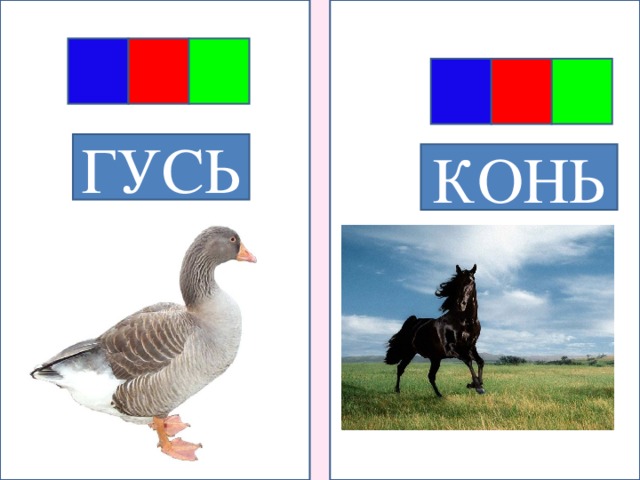 ГУСЬ КОНЬ