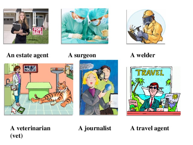 An estate agent A surgeon A welder A veterinarian (vet) A journalist A travel agent