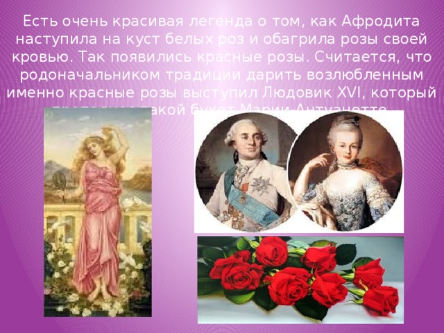 Есть очень красивая легенда о том, как Афродита наступила на куст белых роз и обагрила розы своей кровью. Так появились красные розы. Считается, что родоначальником традиции дарить возлюбленным именно красные розы выступил Людовик XVI, который преподнес такой букет Марии-Антуанетте.