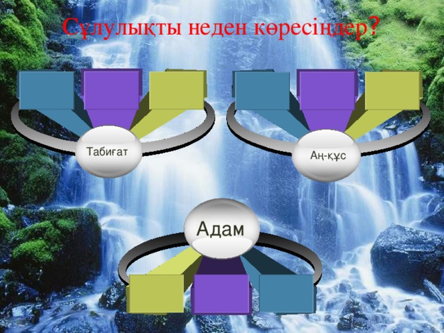 Сұлулықты неден көресіңдер ? Табиғат Аң-құс Адам