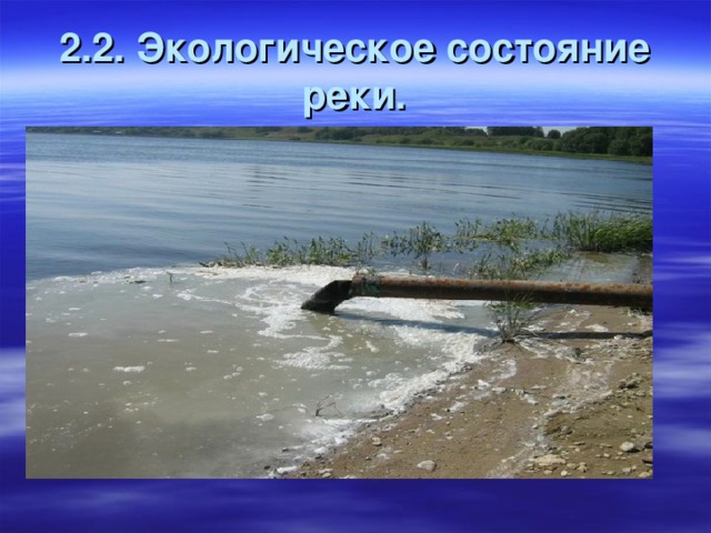 2.2. Экологическое состояние реки.