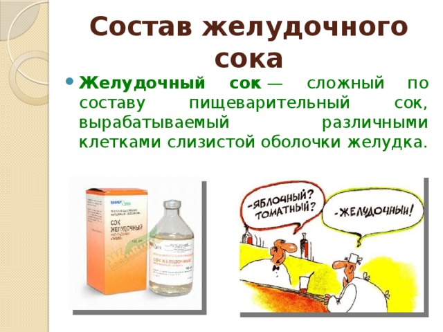 Состав желудочного сока