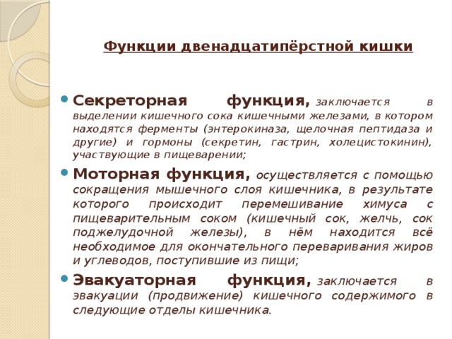 Выполняемые функции двенадцатиперстной кишки. Строение и функции двенадцатиперстной кишки кратко. Строение 12 перстной кишки кратко. Функции 12 перстной кишки. 12 Ти перстная кишка функции кратко.